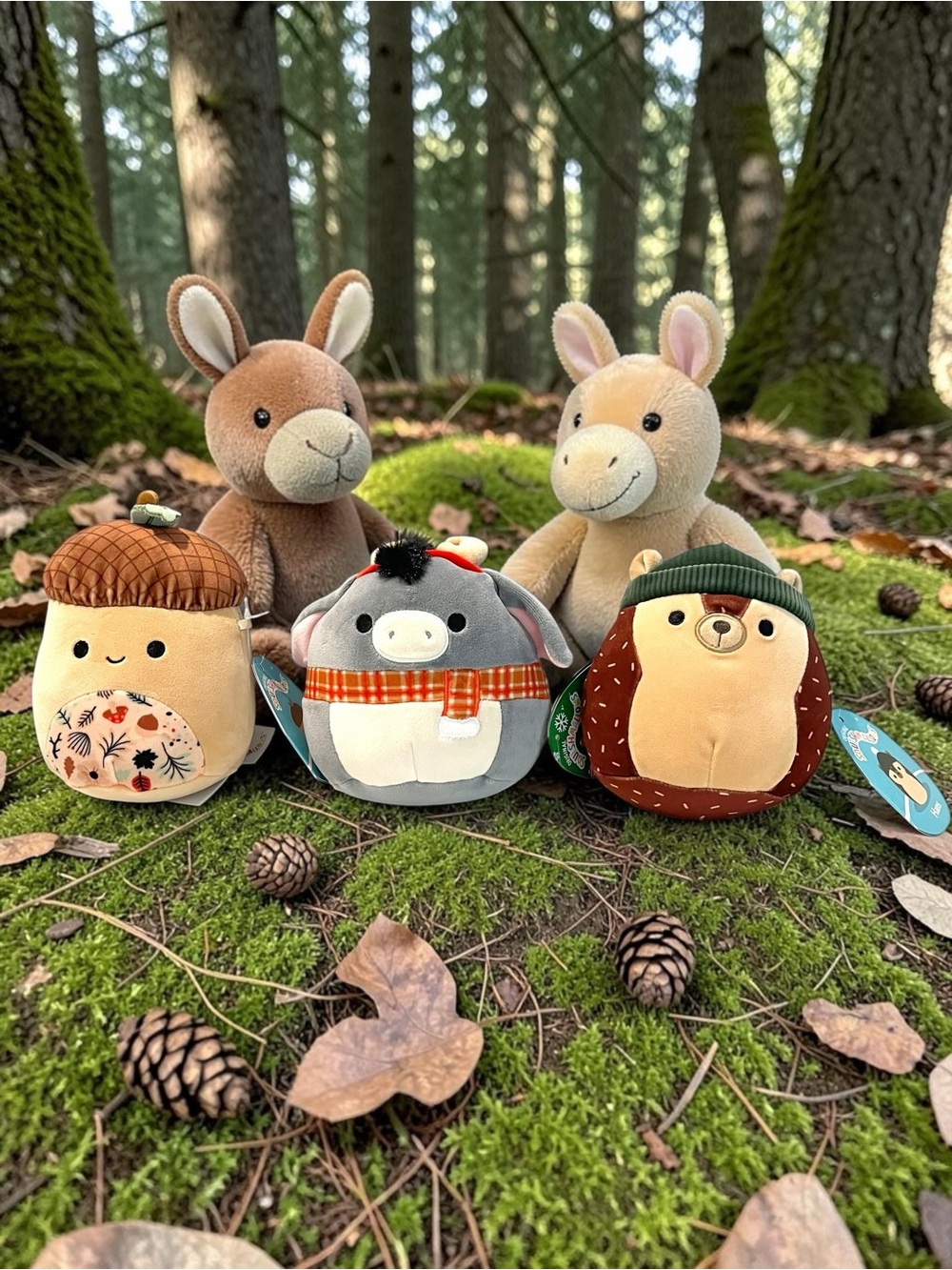 Squishmallows Woodland Lot 3 Mac Acorn Jason Donkey Hans Hedgehog NWT Plush 5”